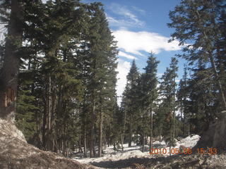 drive down Mt. Graham