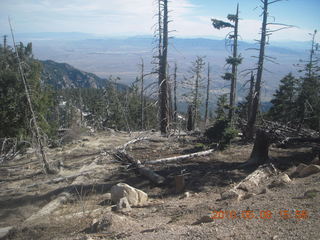 Vatican telescope at Mt. Graham