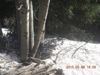 Vatican telescope at Mt. Graham