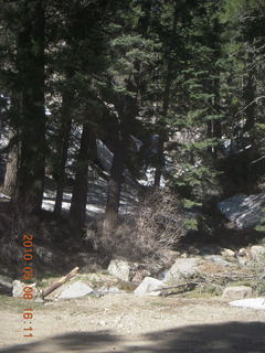 Vatican telescope at Mt. Graham - ladybug