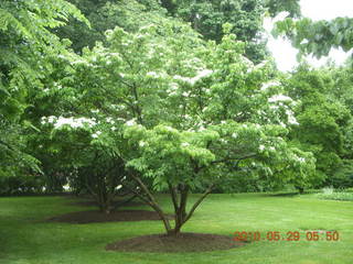 walk to Princeton campus