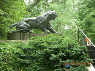 Princeton reunions - Tiger