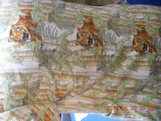 Princeton reunions - Art Museum