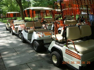 Princeton reunions - golf carts