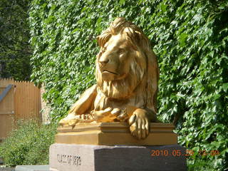 Princeton reunions - lion