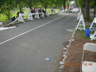 Princeton Reunions - litter
