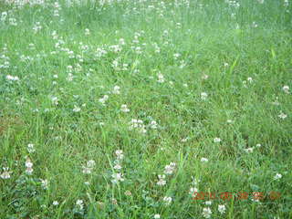 Elkins Park / Cheltenham run