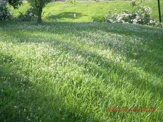 Elkins Park / Cheltenham run