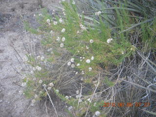 Bagdad Airport (E51) run