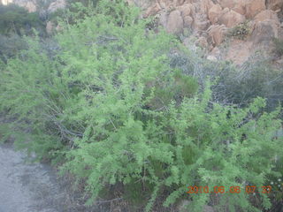 Bagdad Airport (E51) run