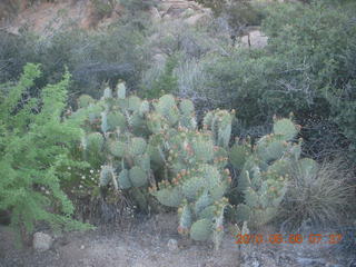 Bagdad run, green after the rain - aerial