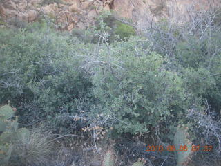 Bagdad Airport (E51) run