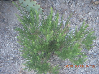 Bagdad Airport (E51) run