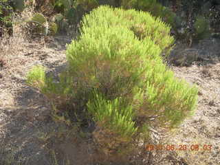 Bagdad Airport (E51) run