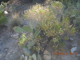 Bagdad Airport (E51) run