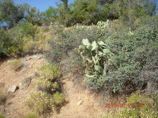 Bagdad Airport (E51) run