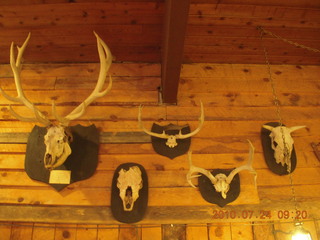 Grand Canyon Caverns (L37) trip - skulls