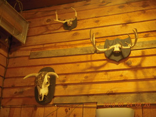 Grand Canyon Caverns (L37) trip - skulls