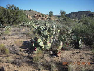 Bagdad Airport (E51) run