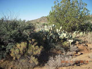 Bagdad Airport (E51) run