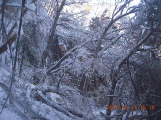 85 7ex. Zion National Park trip - Weeping Rock path