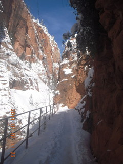 73 7f1. Zion National Park trip