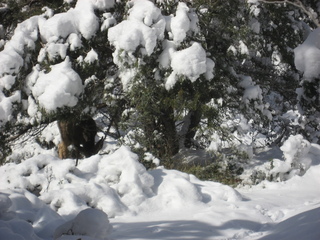 124 7f1. Zion National Park trip - Sheri's pictures