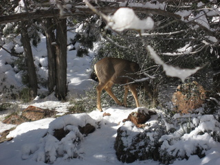 131 7f1. Zion National Park trip - Sheri's pictures