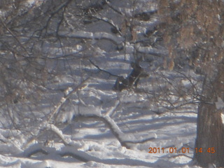 134 7f1. Zion National Park trip