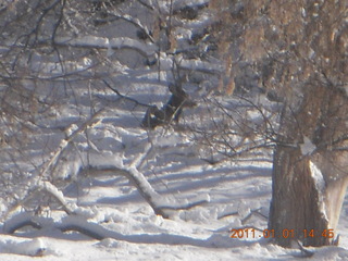 135 7f1. Zion National Park trip