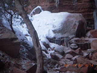 169 7f1. Zion National Park trip