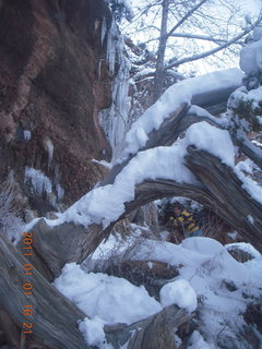 179 7f1. Zion National Park trip