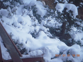 193 7f1. Zion National Park trip