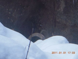 200 7f1. Zion National Park trip