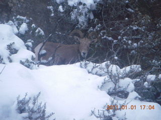 203 7f1. Zion National Park trip