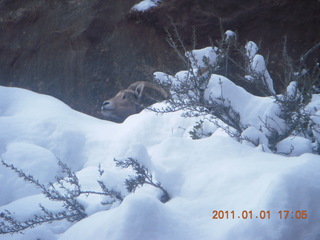 205 7f1. Zion National Park trip