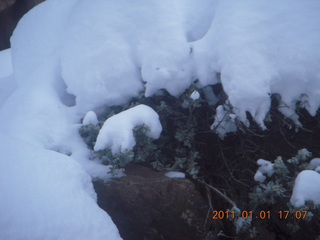 208 7f1. Zion National Park trip