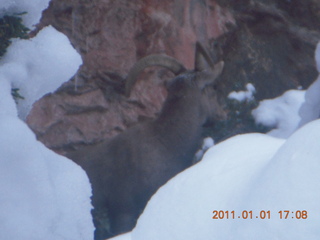 212 7f1. Zion National Park trip