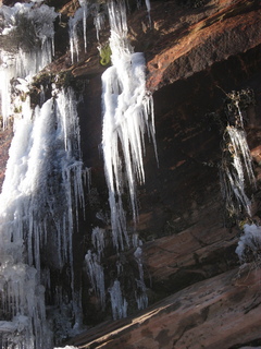 228 7f1. Zion National Park trip - Sheri's pictures