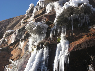 229 7f1. Zion National Park trip - Sheri's pictures