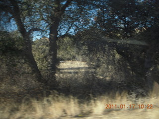 Prescott hike with Verna