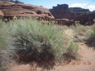 120 7j7. Canyonlands Lathrop hike/run