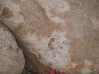 230 7j7. Canyonlands Lathrop hike/run - rock surface