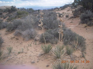 240 7j7. Canyonlands Lathrop hike/run