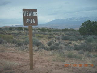 drive to Anticline Overlook - cows in mirror