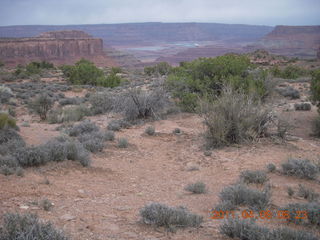 dirt road drive to Anticline Overlook - viewpoint
