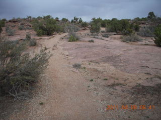 Anticline Overlook