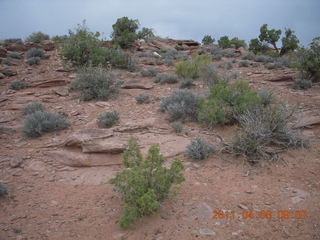 Anticline Overlook - someone driving on dirt road below