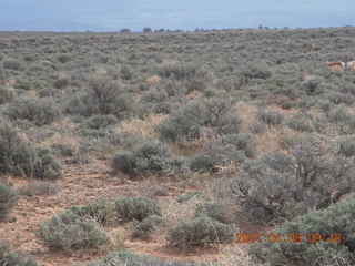 Minor Overlook rock formation