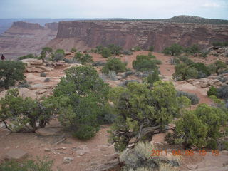 dirt road drive from Anticline Overlook - deer
